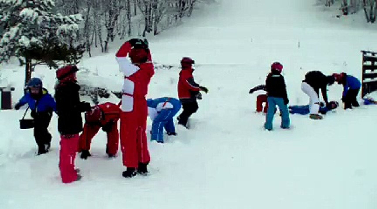 Les chiens de traîneau 5