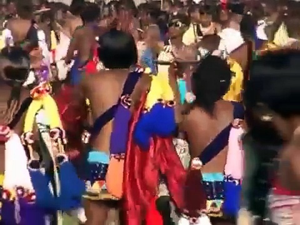 The Reed Dance The King Has to Choose A Wife from Amongst 100 000 Bare Breasted virgin Gir