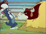 Tom and Jerry, 49 Episode - Texas Tom (1950)