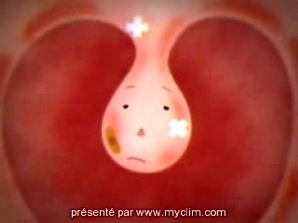 DAIKIN Publicité - Japon - Clip 03