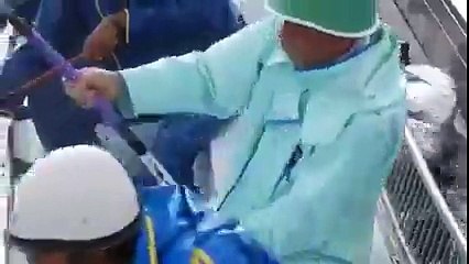 Balık böyle avlanır