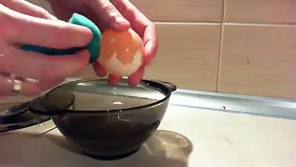 Yumurta sirkede iki gün kalsa ne olur?