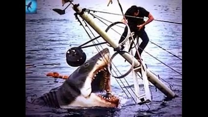 why Australian beaches are the mjost dangerous