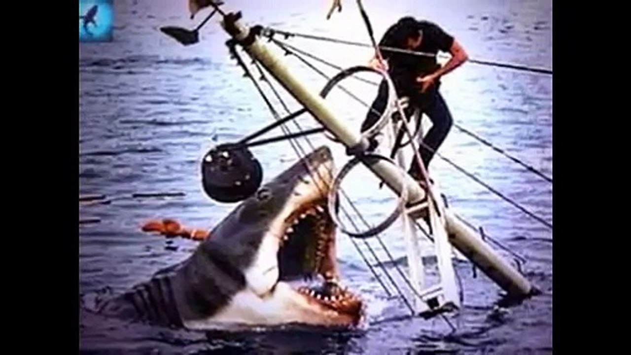 why Australian beaches are the mjost dangerous