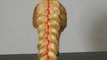 Коса из 5 прядей с лентами. Плетем косы. 5 strand braid with