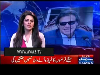 Imran Khan's charge sheet against PML-N government economic policies