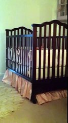 Charlotte  twinkle twinkle little star kirancollections