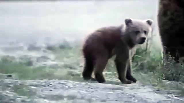 Пошли с нами؟