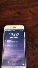 12537670_1495697340739258_1308811996_n