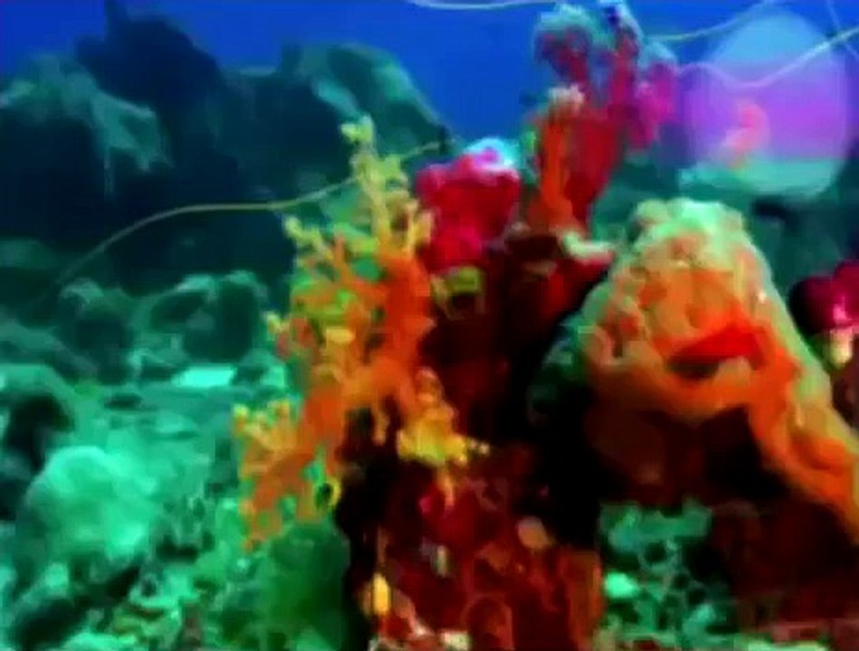 Зиг и Шарко Cartoon Ep 27 28