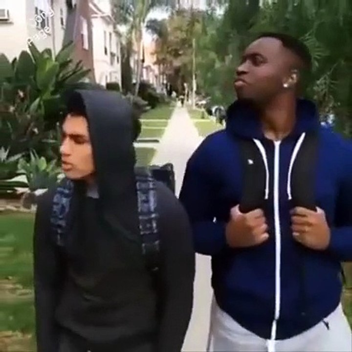 Very Funny Dog pranks Compilation ll so funny video