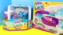 NEW Little Live Pets Lil Mouse House, Mice and Trail Toy Review