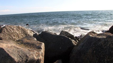 Venice Beach and Ocean home video 2009