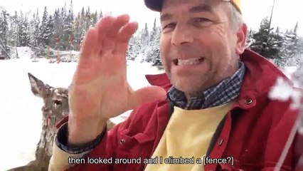 Un homme sourd saute dans un lac glacé pour sauver la vie d'une biche