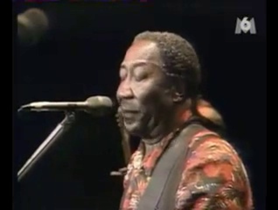 Muddy Waters  "I'm a King Bee" Chicagofest 1981