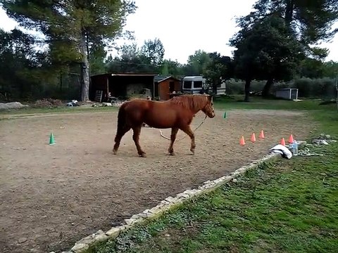 Challenge 8 - Steph et Lali : jouer 4 des 7 jeux en restant assis