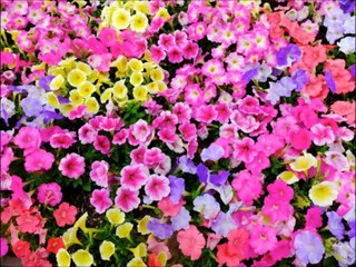 加藤行俊が送る幻想の世界９