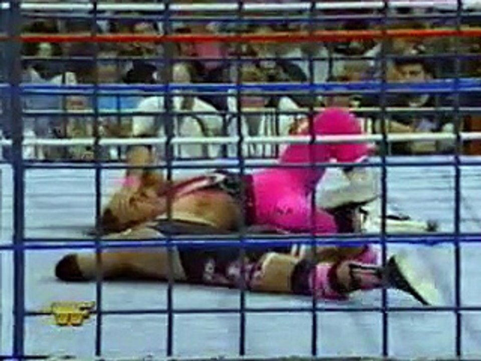 WWF SSlam - BretHart vs OwenHart in Cage Match  1994
