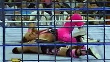 WWF SSlam - BretHart vs OwenHart in Cage Match  1994