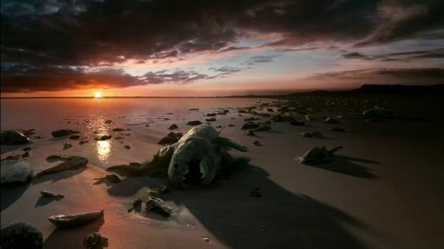 สารคดีท่องโลกกว้าง 31 ธันวาคม 2558 ผจญภัยสู่กาลอวกาศ ตอน โลกที่สูญหายบนดาวเคราะห์โลก