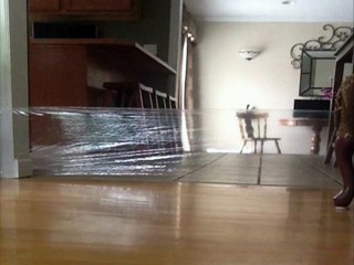 Prank On Cat Turns Into Human Fail