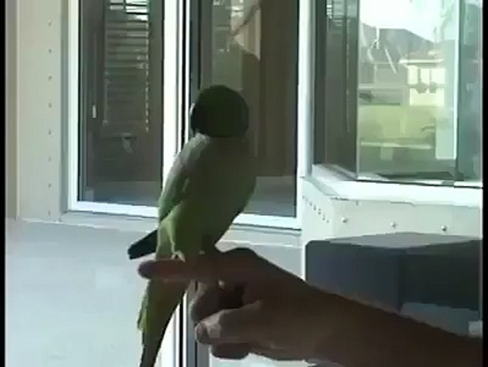 I can't believe what happened in this video!