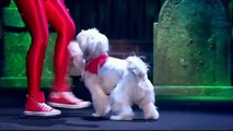 Ashleigh & Pudsey - Thriller Routine (Britain's Got Talent 2013)