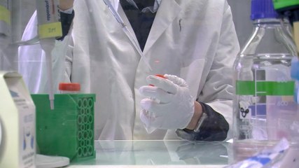 Cancer de la prostate : comprendre son agressivité chez les patients obèses