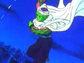 Dragon Ball final bout