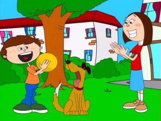 What Kind of Signs Do Animals Use