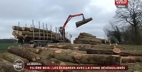 Sénat 360 : La déchéance de nationalité divise les parlementaires / Le crédit d'impôt recherche en débat au Sénat / Attentat meurtrier à Istambul (12/01/2016)