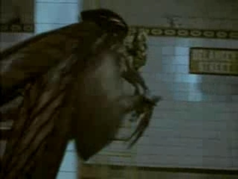 Sample mimicdivx