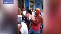 'Monkey pig' with protruding forehead and short snout baffles Cuba locals _
