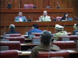 Senate Committee Meeting