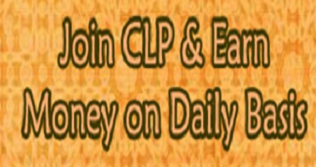 Metlife Customer Loyalty Program (CLP)