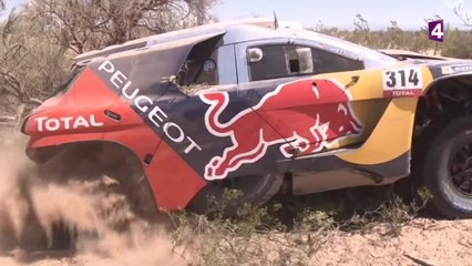 VIDEO. Le résumé auto de la 8e étape : Sainz seul Lion rescapé, Loeb toujours ensablé