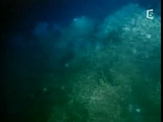 Le secret des Abysses 1/3