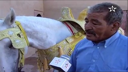 شاهد ماذا فعلت الأميرة المغربية وهي تركب الحصان