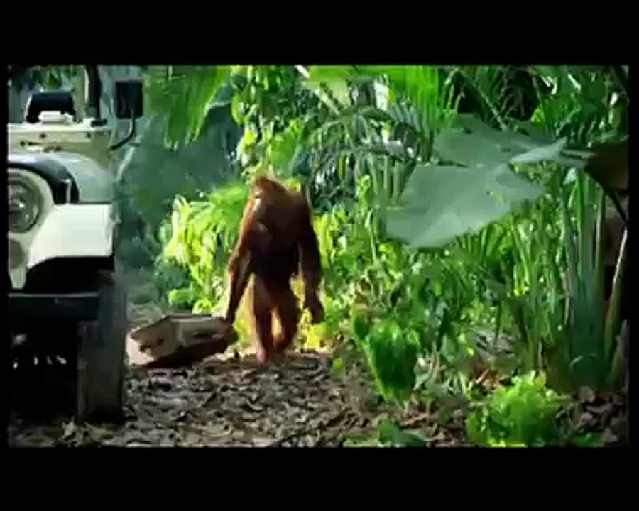 what an ad