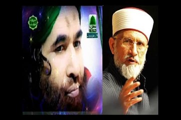 Dr. Tahir ul Qadri Saheb's views on Dawat-e-Islami