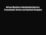 Read African Muslims in Antebellum America: Transatlantic Stories and Spiritual Struggles PDF