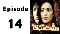 Dasht-e-Tanhai Episode 14 Full on Ptv Home