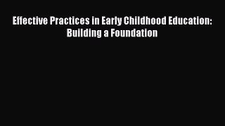 Effective Practices in Early Childhood Education: Building a Foundation [PDF Download] Full