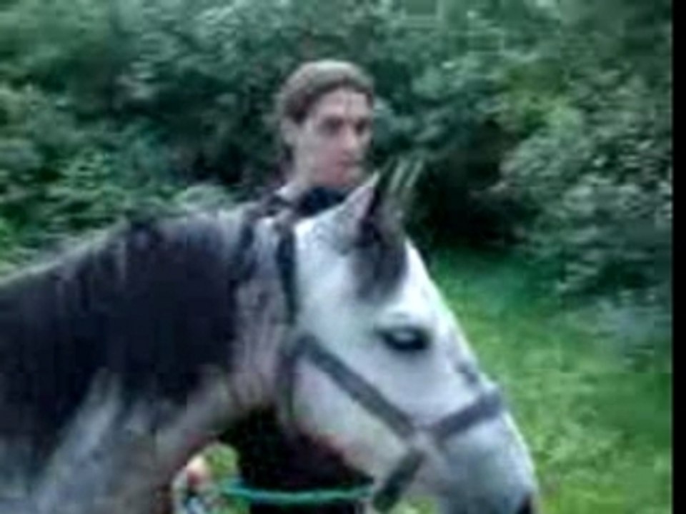 Pépite aux étangs 3