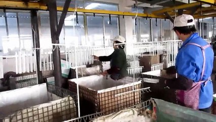 Furniture Hardware, Furniture Fittings and Cabinet Hardware - China: Metal Box & Runner Slides / Production 3