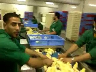 ye daikhy braller chosy kaisy tiyar hoty hain