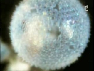 Le secret des Abysses 2/3