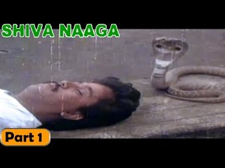 Shiva Naaga Movie | Part 1