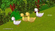Five Little Ducks went out one day - 3D Animation English Nursery Rhymes for Children