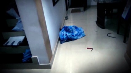 Ghost Caught On Video Tape - The Haunting - Paranormal Investiga(6)